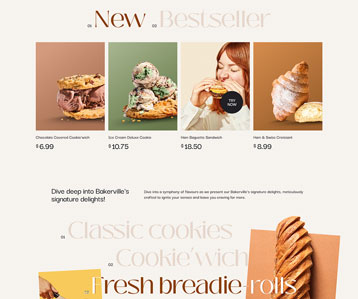 Website Design and Development